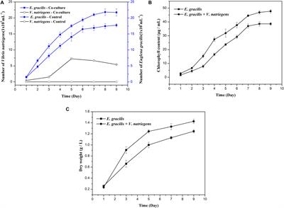 Global Metabolomics Reveals That Vibrio natriegens Enhances the Growth and Paramylon Synthesis of Euglena gracilis